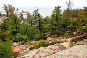 Pine Ridge